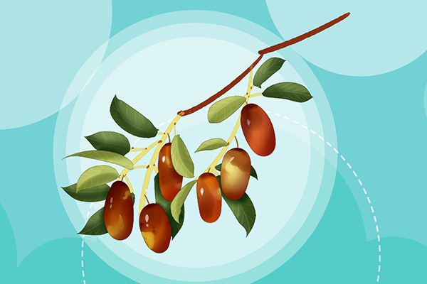 ����Ĺ�Ч�����ü�ʳ�÷��� ����Ĺ�Ч������